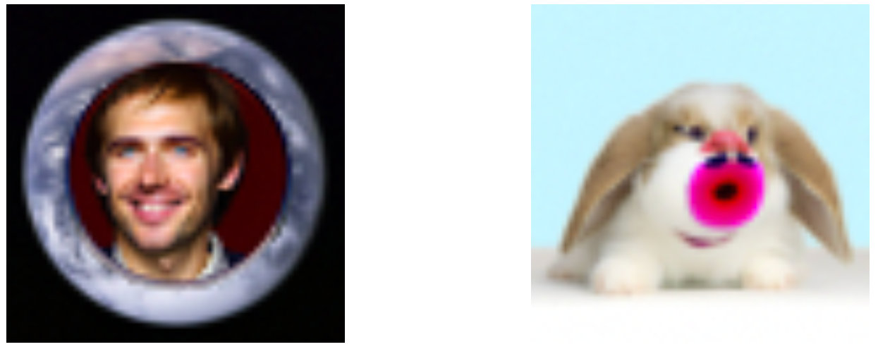 Final inpainted results for bunny and earth