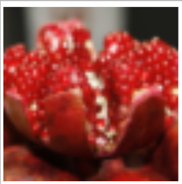 Processed pom web photo