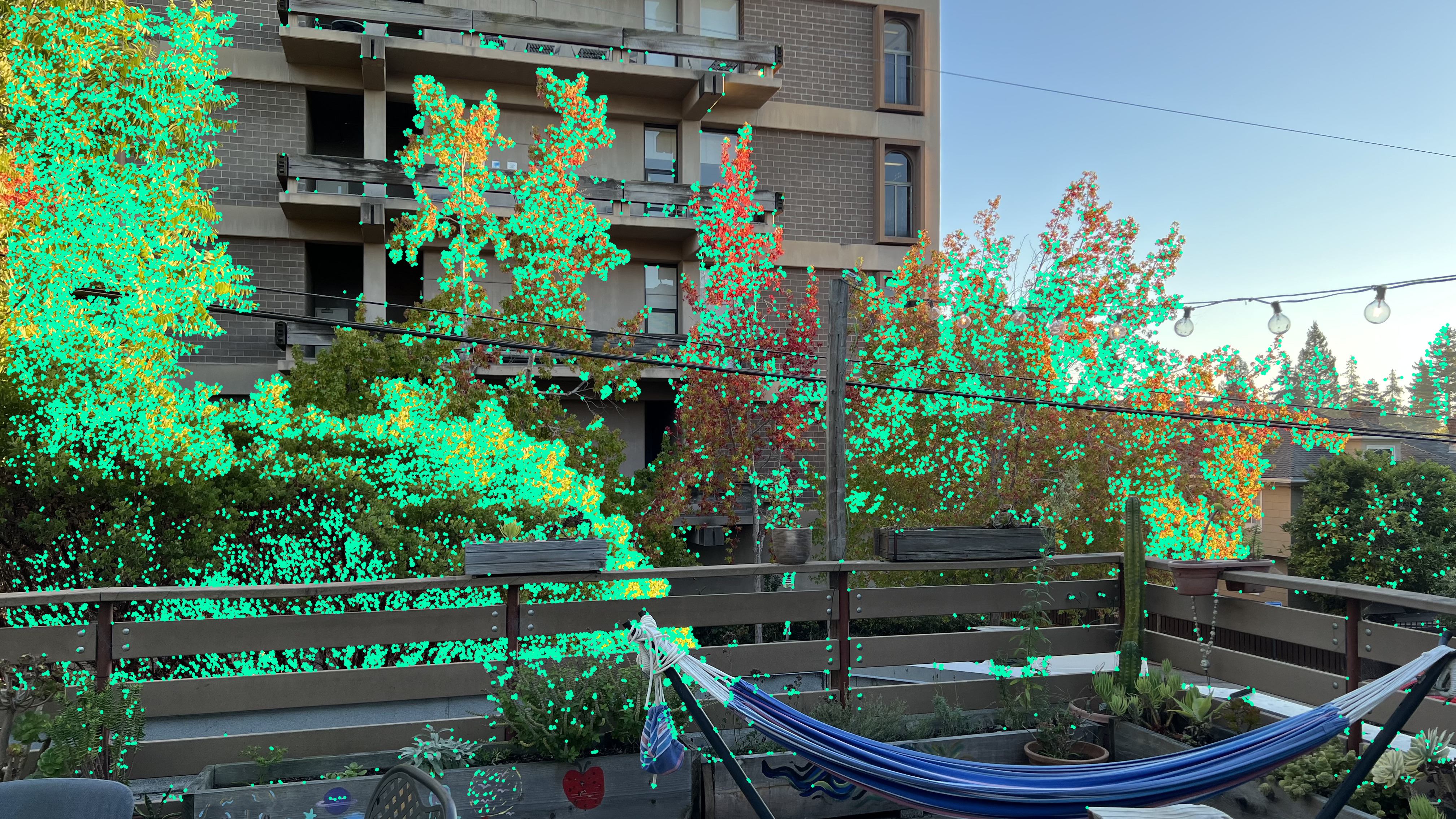 Trees Harris corners