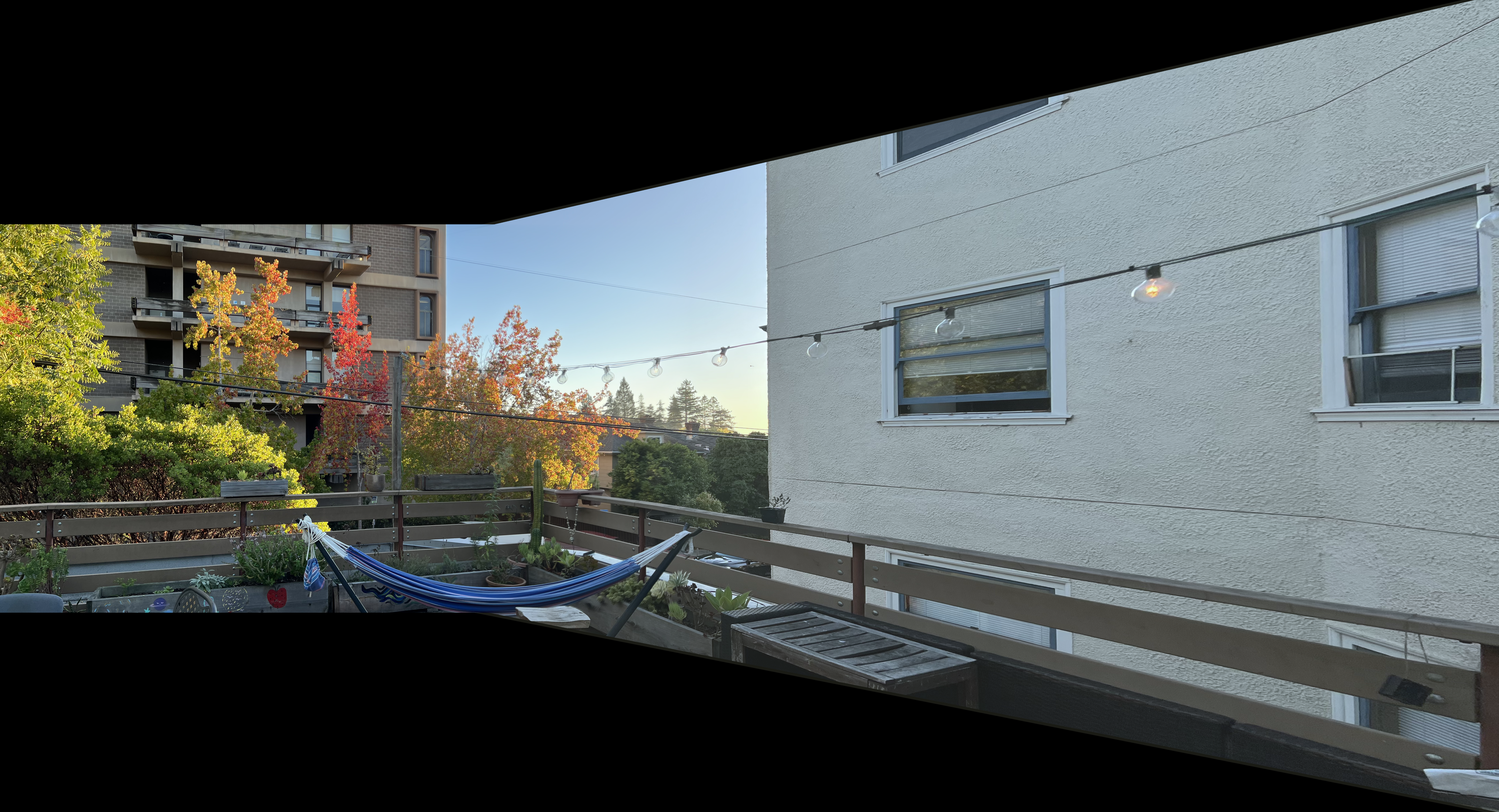 Automatic trees mosaic