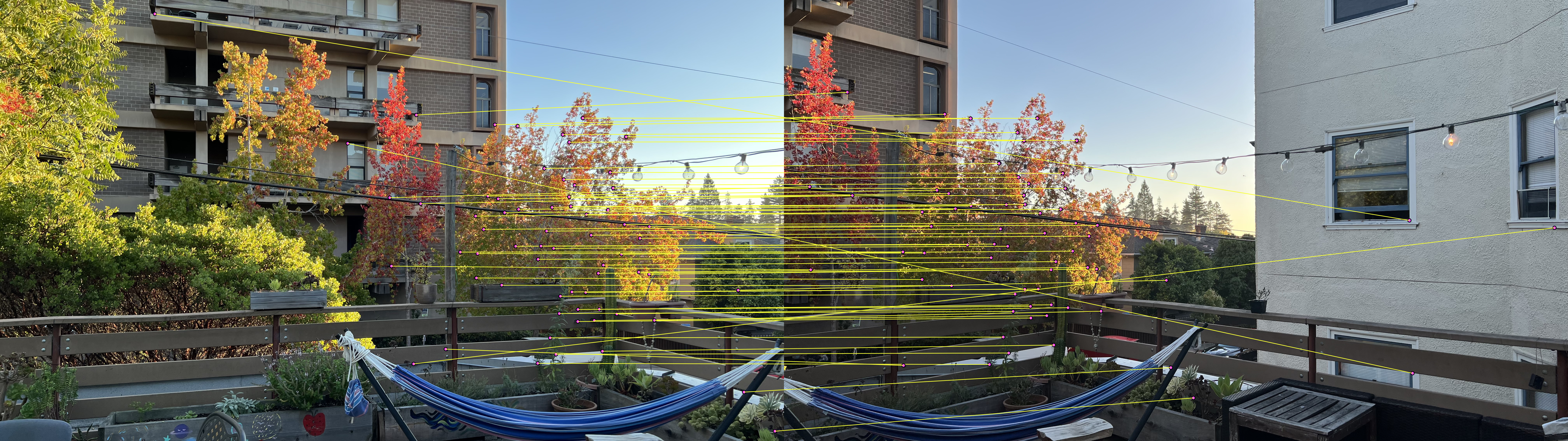 Trees automatic matches