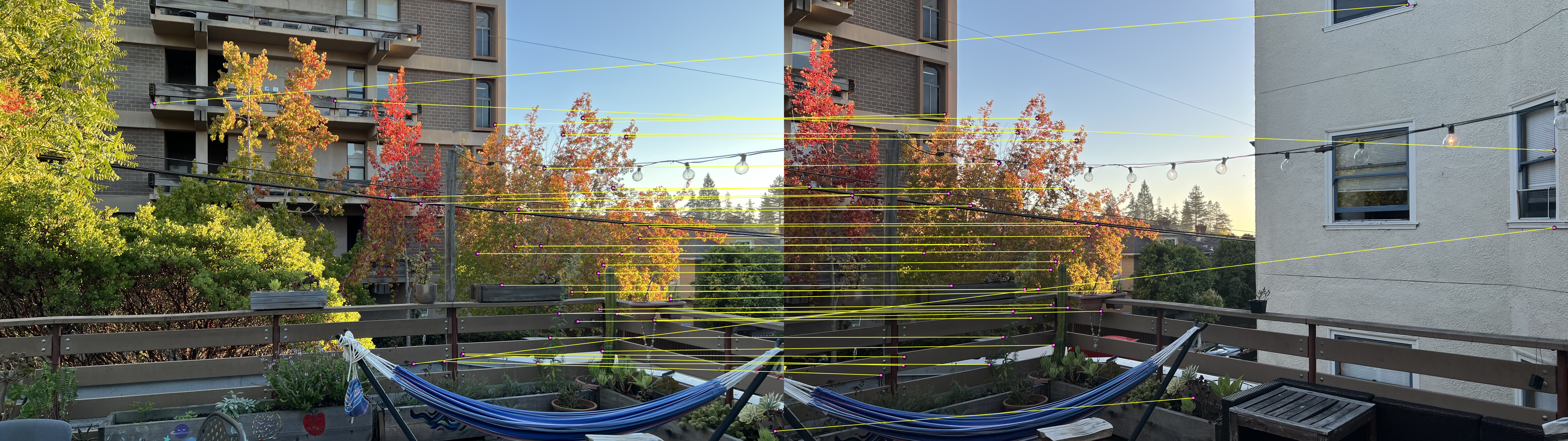 Trees feature matches